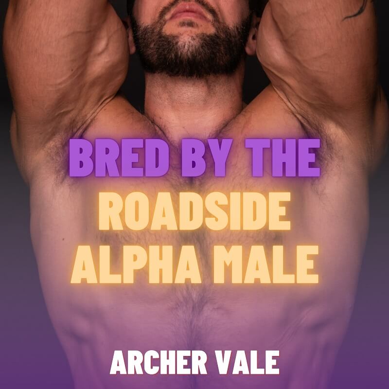 Book cover showing an alpha male exuding masculine pheromones from his hairy, sweaty armpits