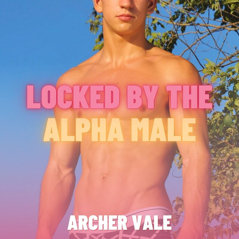 Story cover showing a straight alpha male watching a gay chastity slave labor in the hot sun.